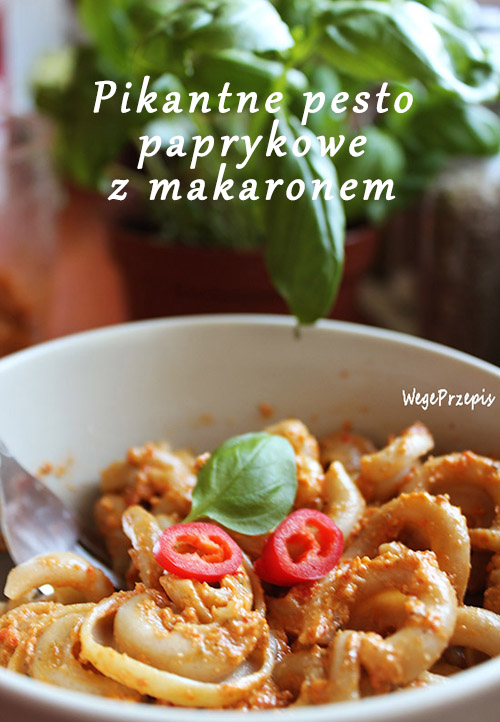 Pesto paprykowe z makaronem (wegańskie)